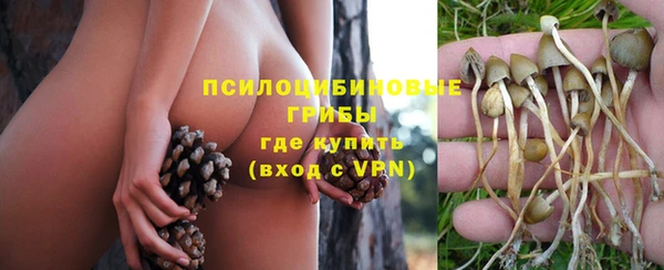 трава Армянск